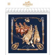 Replica Hermes Scarf HEC00523 PY3986cS18