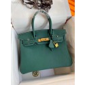 Hermes Birkin Bag Original Togo Leather 17825 Green PY471Ph61