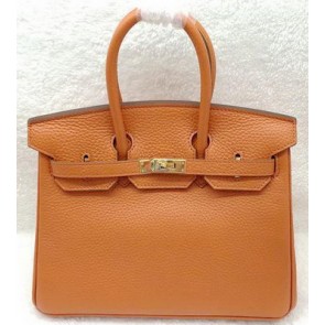 Hermes Birkin 25CM Tote Bag Original Leather H25T Orange PY1178sY95