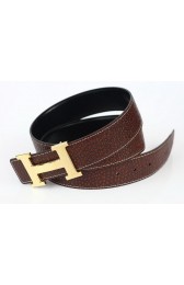 Imitation AAA Hermes Belt Lizard Leather HB5326 Brown PY3782Xy49